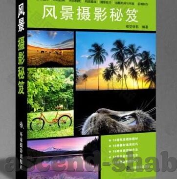 足球比分分析310-足球比分分析310，解码胜平负背后的数据密码与投注逻辑